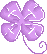 Clover 7